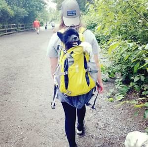 Meet your Posher, Casey